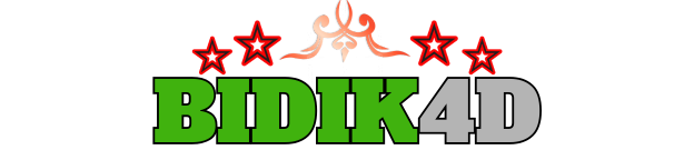 Bidik4D
